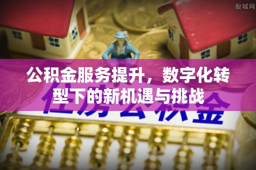 石棉公积金服务提升，数字化转型下的新机遇与挑战