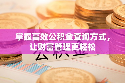石棉掌握高效公积金查询方式，让财富管理更轻松