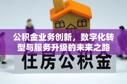 石棉公积金业务创新，数字化转型与服务升级的未来之路