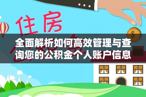 石棉全面解析如何高效管理与查询您的公积金个人账户信息
