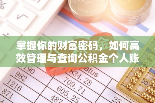 石棉掌握你的财富密码，如何高效管理与查询公积金个人账户信息