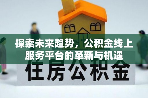 石棉探索未来趋势，公积金线上服务平台的革新与机遇