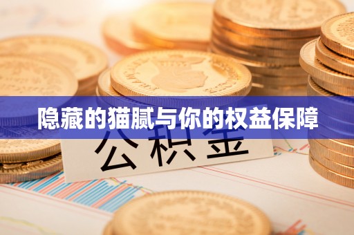石棉隐藏的猫腻与你的权益保障