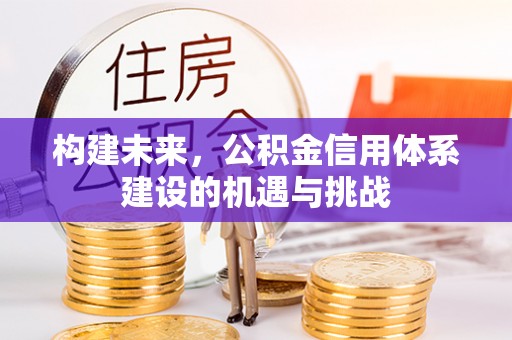 石棉构建未来，公积金信用体系建设的机遇与挑战
