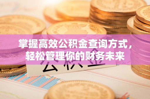 石棉掌握高效公积金查询方式，轻松管理你的财务未来