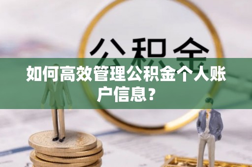 石棉如何高效管理公积金个人账户信息？