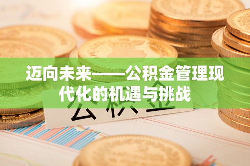 石棉迈向未来——公积金管理现代化的机遇与挑战