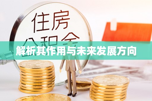 石棉解析其作用与未来发展方向